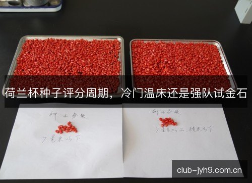荷兰杯种子评分周期，冷门温床还是强队试金石