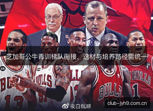 芝加哥公牛青训梯队衔接，选材与培养路径需统一